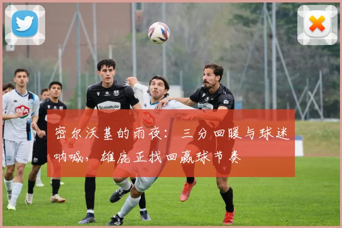 密尔沃基的雨夜：三分回暖与球迷呐喊，雄鹿正找回赢球节奏