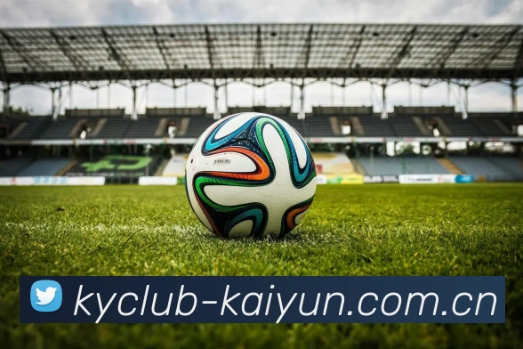 Kaiyun APP 界面演示